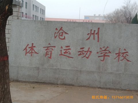 河北滄州體育學(xué)?；@球館體育地板施工