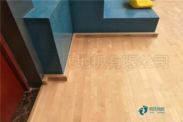 學(xué)?；@球木地板減震技術(shù)1